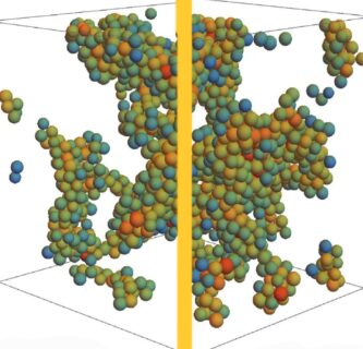 Zum Artikel "What neural networks teach us about gels"