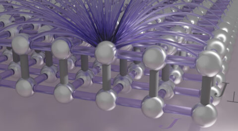 Zum Artikel "New publication about the quantum XXZ bilayer with long-range interactions"